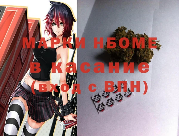 соль ск Рославль
