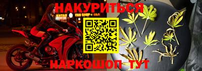 индика Дубна