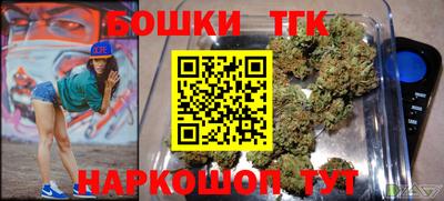 индика Дубна