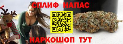 индика Донской