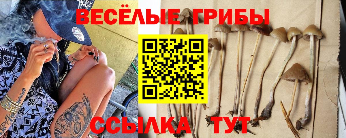 Славянск-на-Кубани  Галлюциногенные грибы Cubensis  Вход с VPN  Галлюциногенные грибы GOLDEN TEACHER 