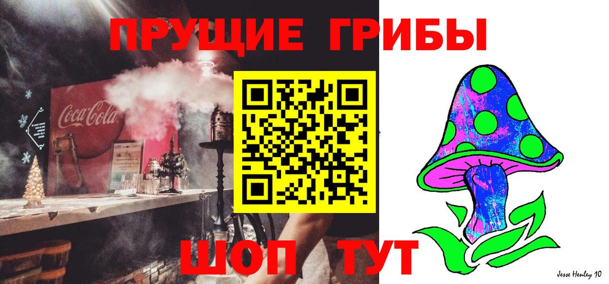 Каннабис Славянск-на-Кубани