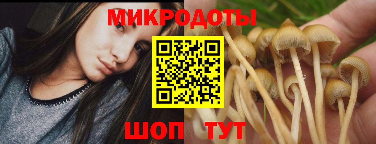 Псилоцибиновые грибы Psilocybe  Славянск-на-Кубани  Галлюциногенные грибы Psilocybine cubensis 