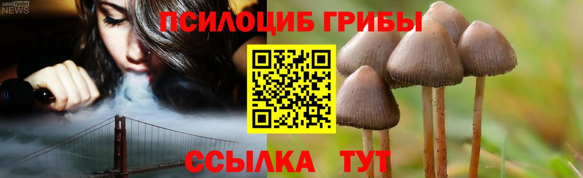 Галлюциногенные грибы прущие грибы Славянск-на-Кубани