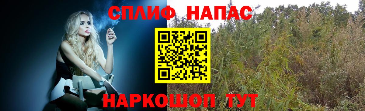 Каннабис планчик Славянск-на-Кубани